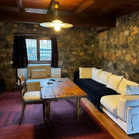 Forest House בקתה *