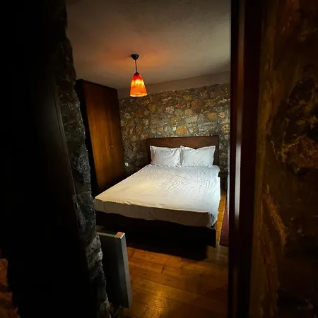 Forest House *