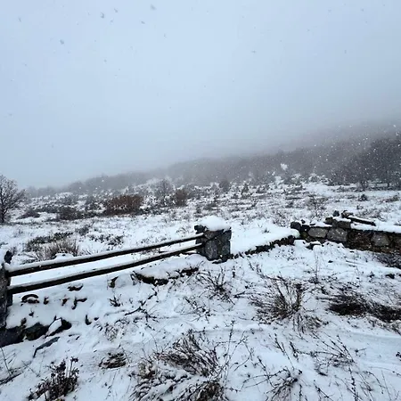 Chalet Forest House *