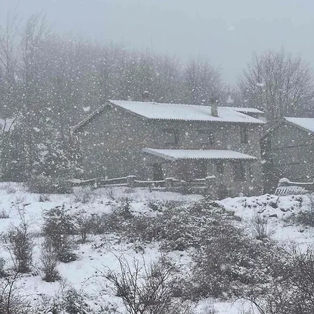 Forest House בקתה *