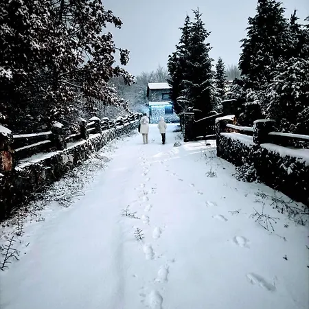 Forest House شاليه