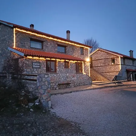 Forest House בקתה